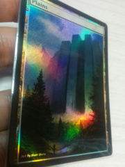 Plains #06 Foil Extended